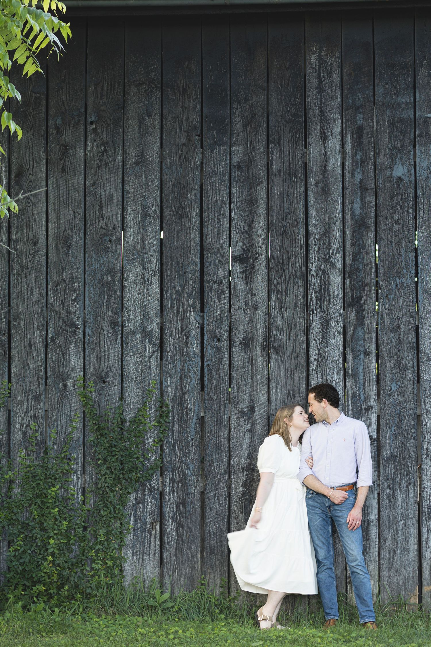 A couple shares a romantic moment leaning against a rustic dark wooden barn wall surrounded by lush green grass.