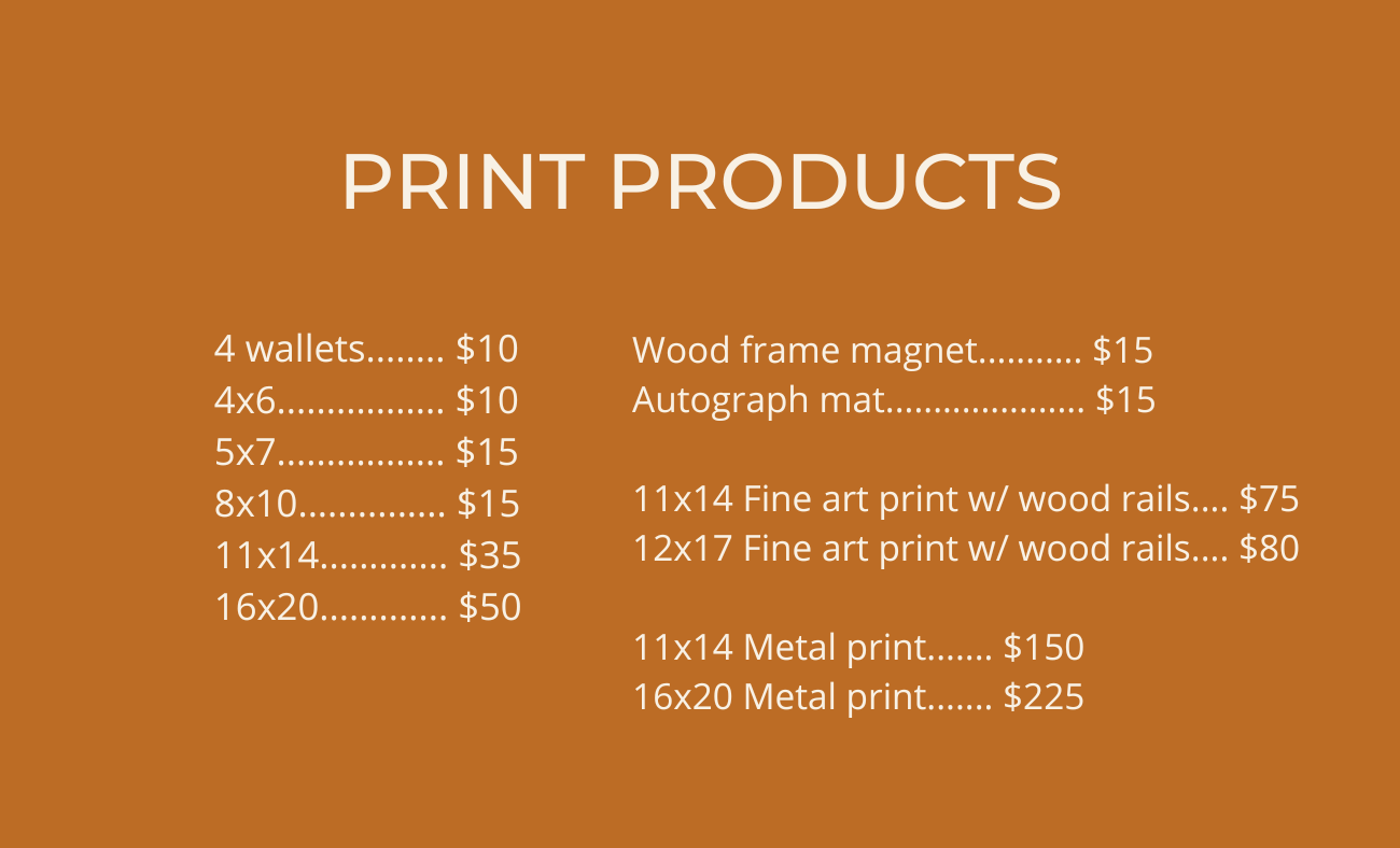 A price list for print products displayed on an orange background.