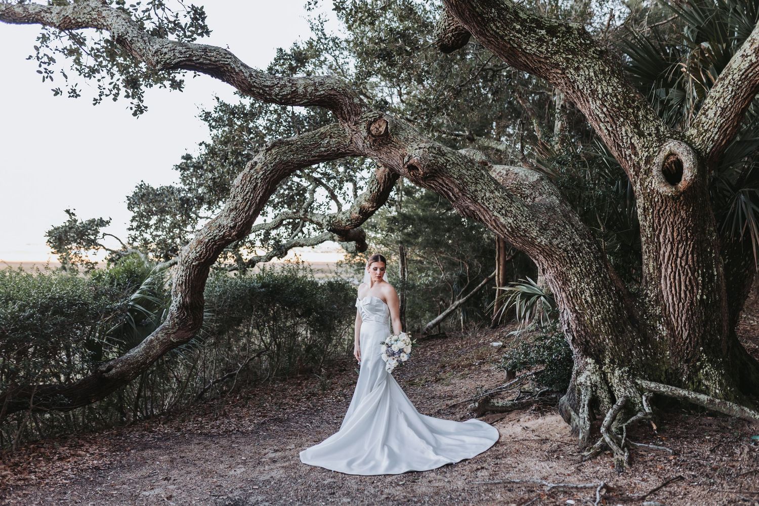 Bride in elegant white mermaid gown poses under twisted oak trees in natural outdoor setting.