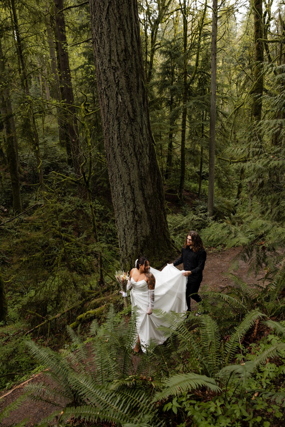 Aerial view of bride and groom walking through a lush fern-filled forest beside a towering tree.
