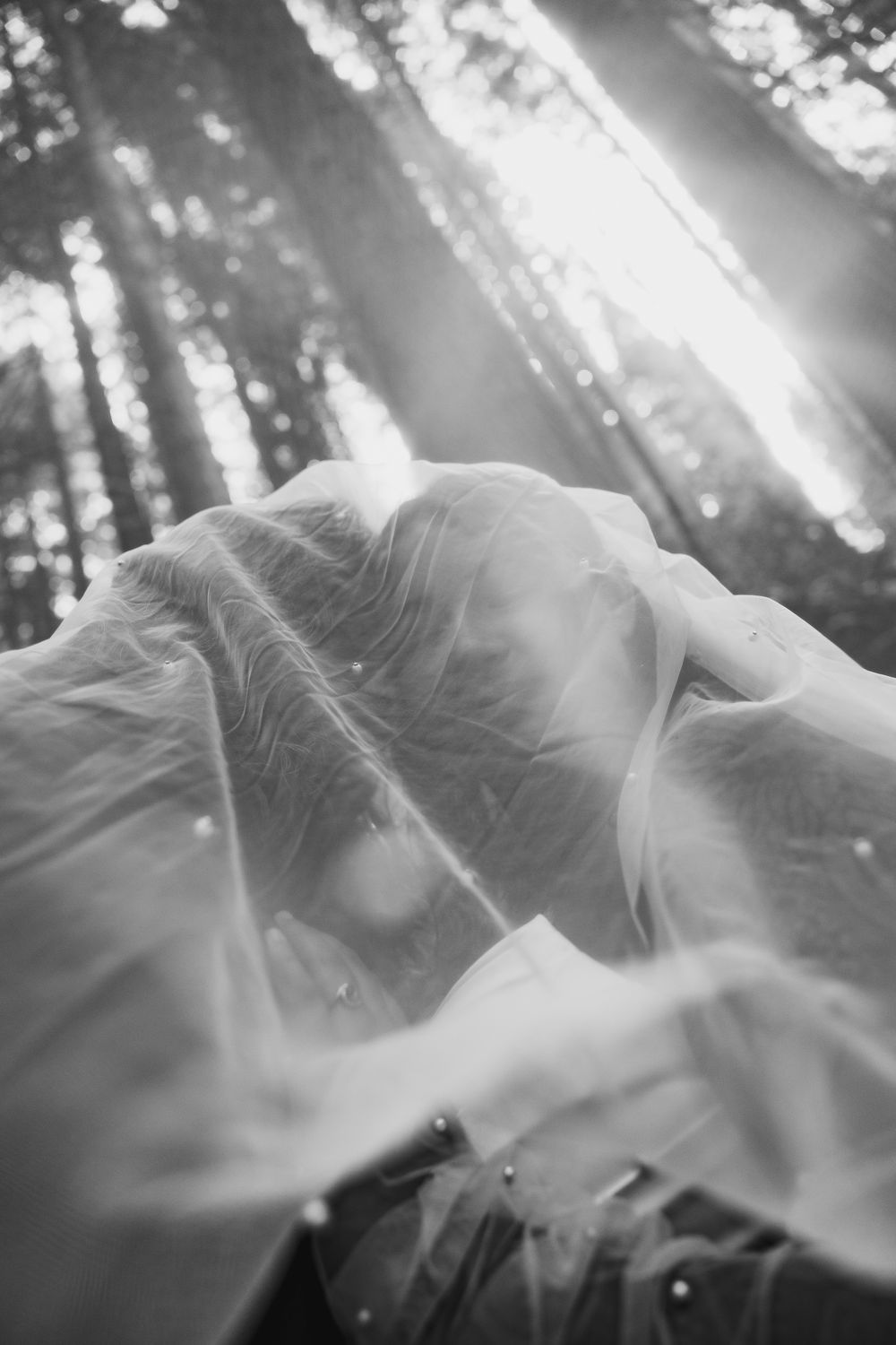 Ethereal black and white close-up of a wedding veil billowing in sunlight among tall forest trees.