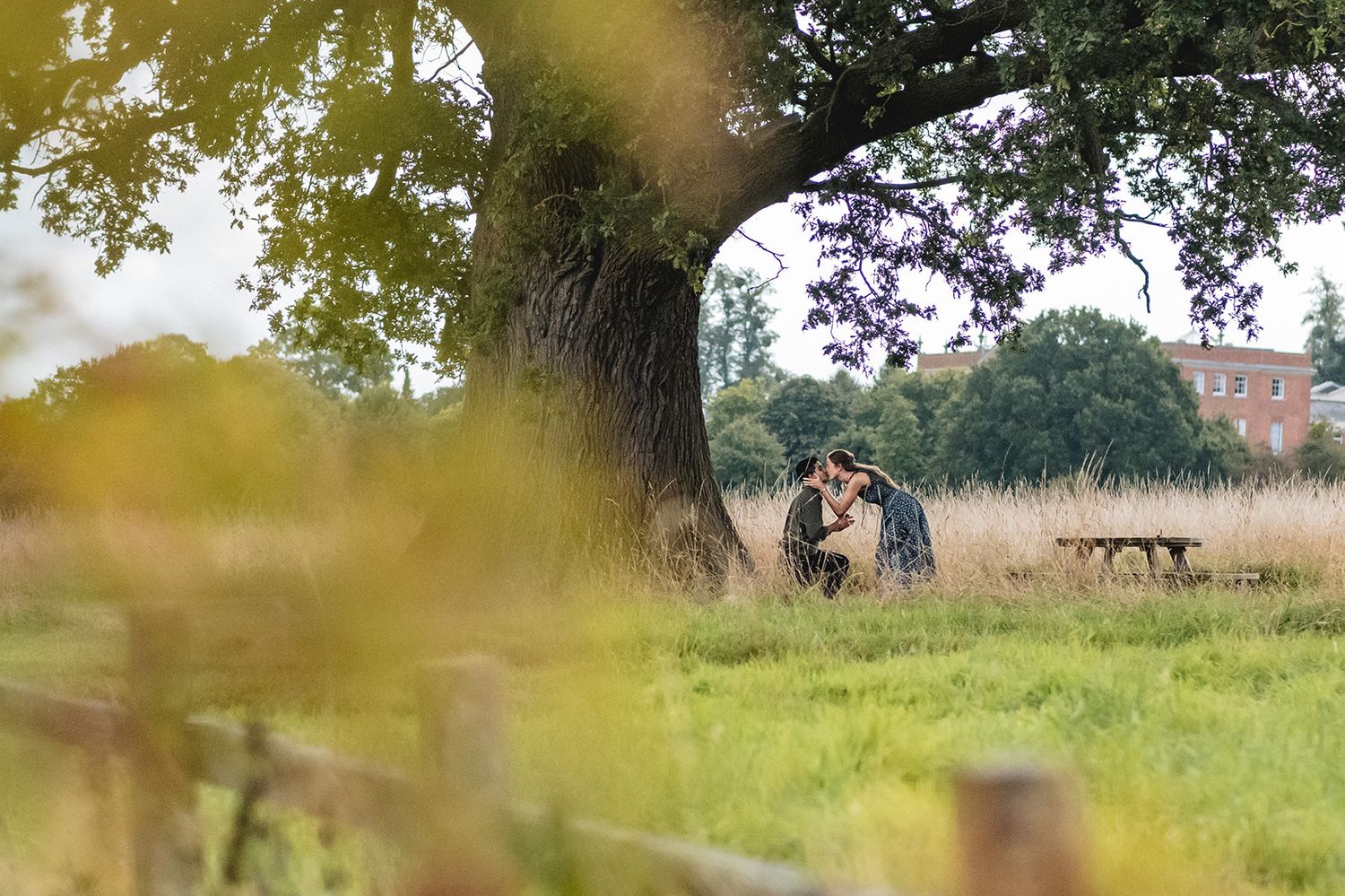 Couple sharing a romantic kiss under a large oak tree in a lush green meadow during an outdoor engagement photo session.