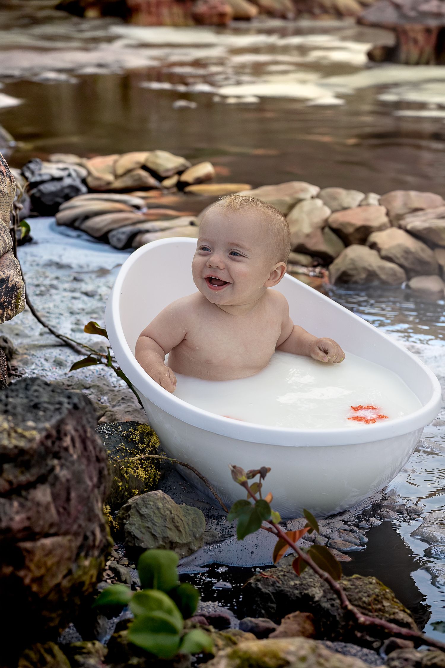 a little boy in a milk bath after his professional photo shoot dinosaur cake smash.  He is sitting in a prehistoric river.