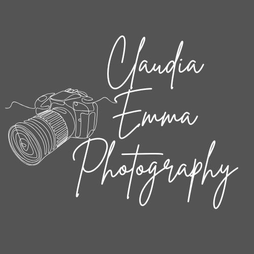 A minimalist photography logo design with a sketched camera icon and cursive text on a gray background.