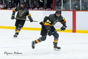 Two hockey players in black and gold uniforms skate during competitive game.