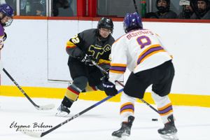 Two opposing hockey players face off during competitive match on ice.