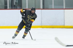 Hockey player in black and yellow uniform skates with stick during game.