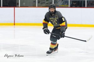 Ice hockey player in black and yellow uniform skates with stick on ice.