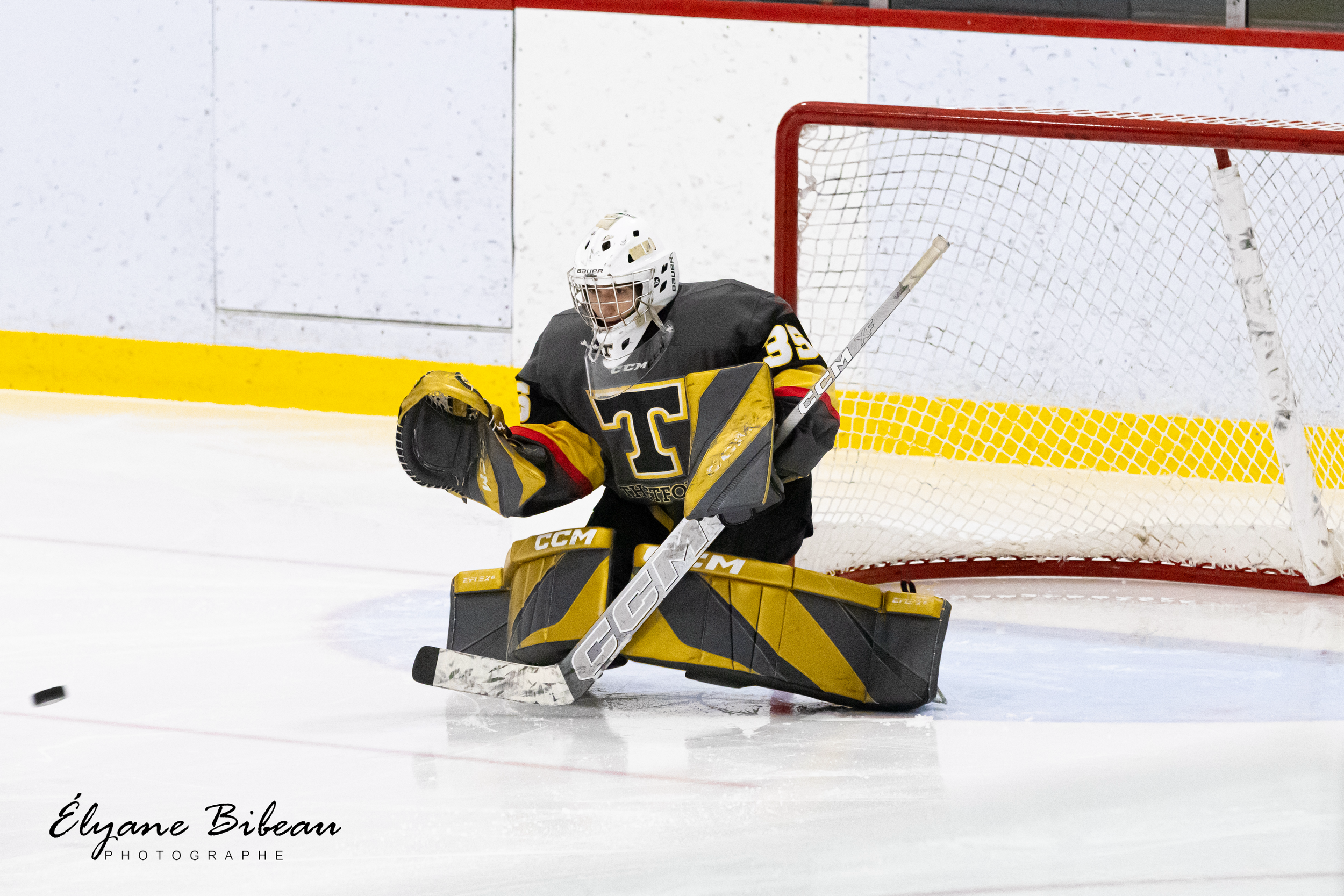 Hockey goalie in black and yellow uniform crouches in defensive position in front of net during game.