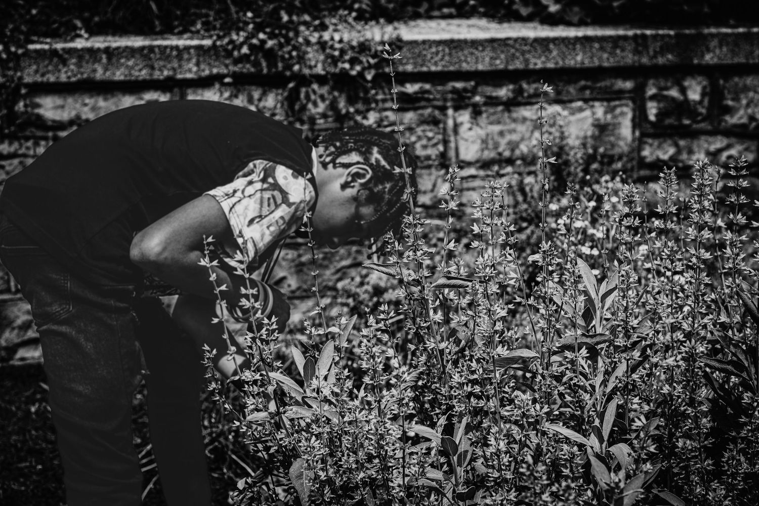 Candid black and white shot of someone bending over plants in a garden setting.