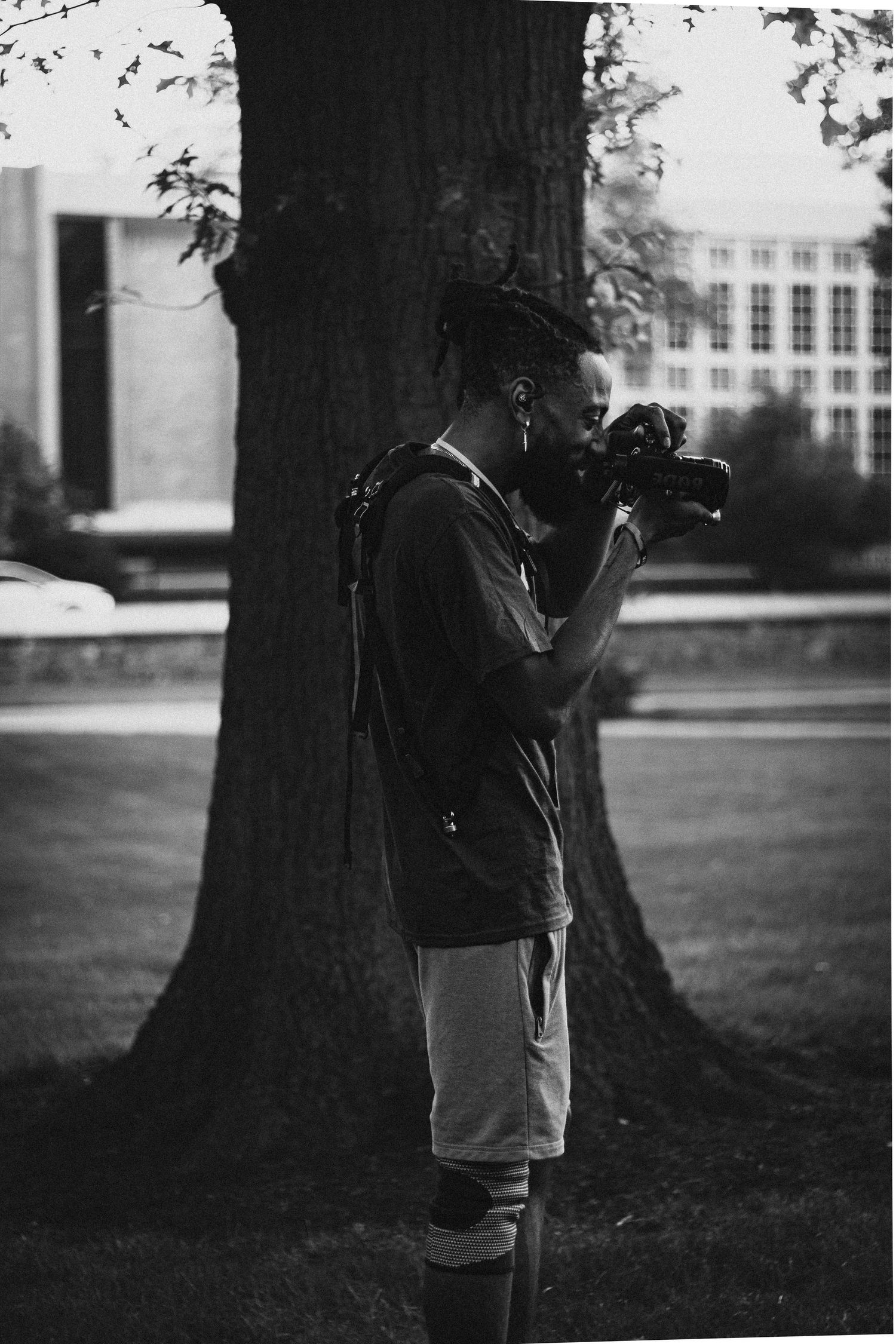 Silhouette of photographer taking pictures near a large tree trunk.