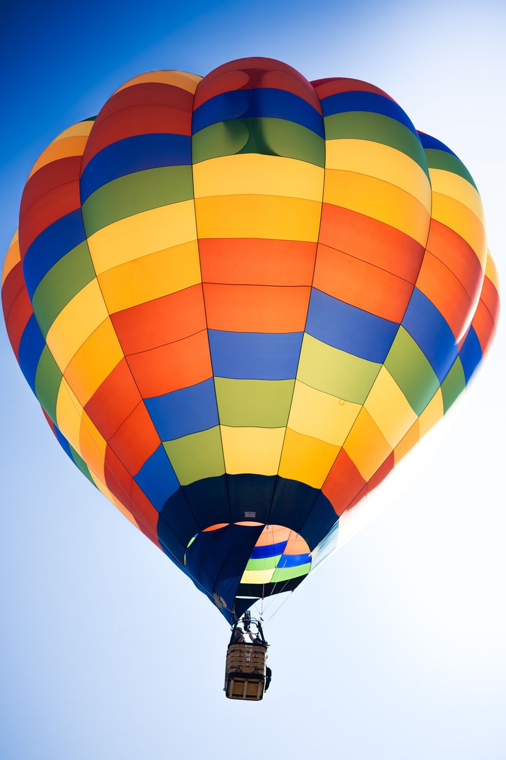 Albuquerque International Balloon Fiesta Balloon lit ny morning sunshine by Memorari Portrait