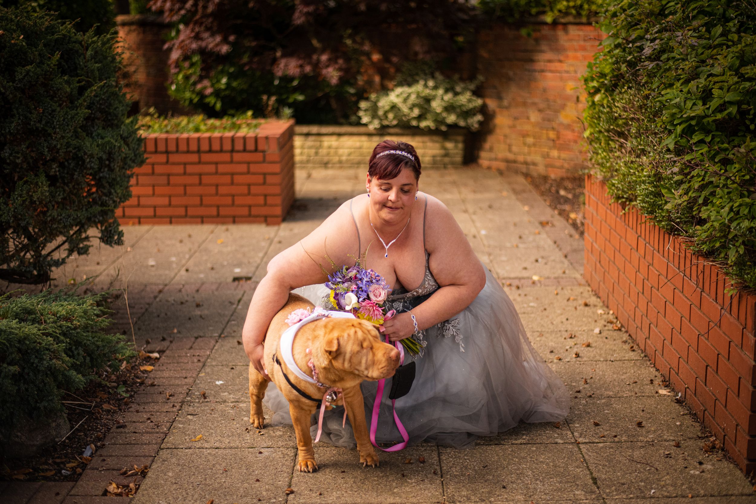 A person in a gray wedding dress kneels next to their dog on a brick-lined garden path.