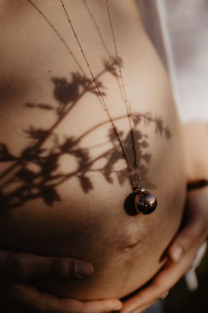 Abstract shadows of branches and leaves cast delicate patterns in sepia tones.