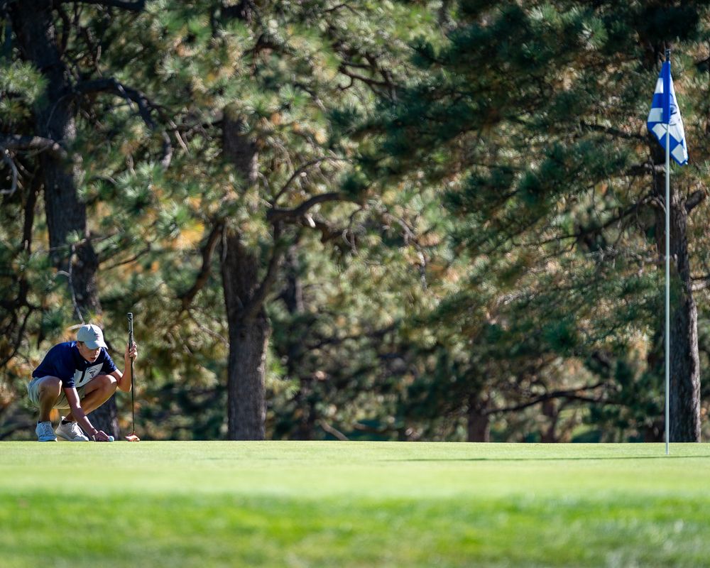 Golfer lines up a putt on a scenic course with trees in the background.