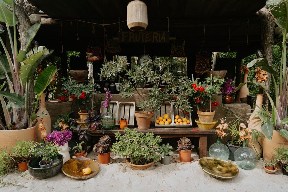 A rustic outdoor display with potted plants, terracotta vases, candles and decorative elements arranged on wooden shelving.