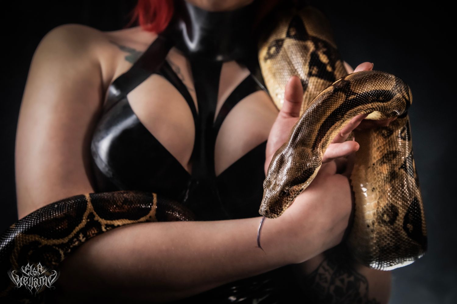 A boa constrictor snake wraps around someone wearing a black leather top in a dark moody portrait.