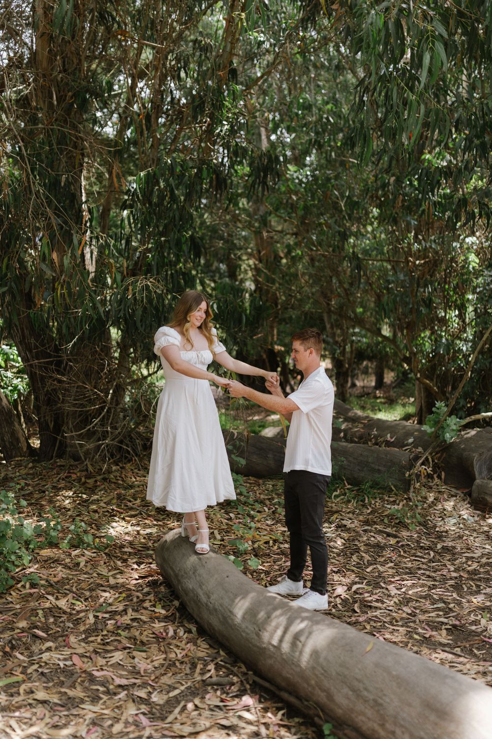 A romantic proposal moment unfolds on a fallen log in a eucalyptus grove.