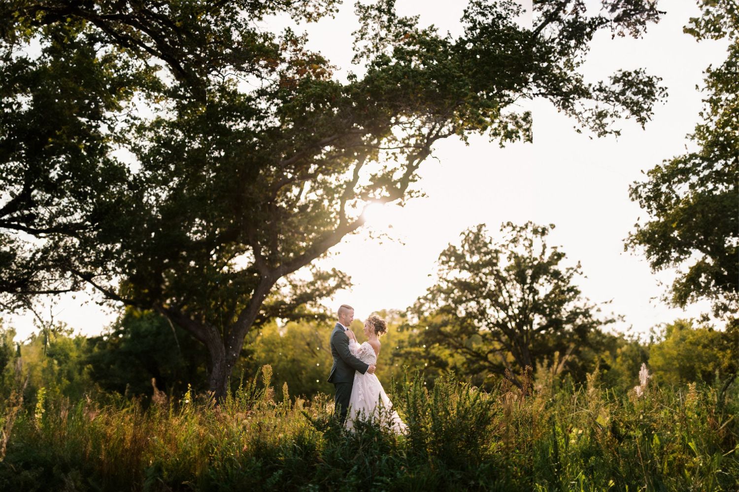 Golden sunset light filters through trees in a meadow filled with tall grass and wildflowers at dusk.