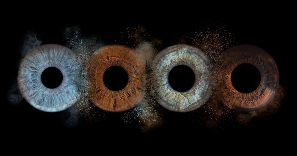 A series of close-up macro photographs showing detailed human irises in different colors and patterns.
