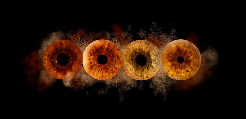 Four orange and brown iris eyes arranged in a row with smoke effects on black background.