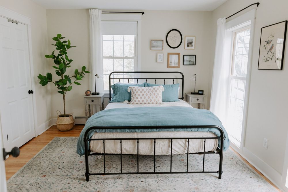 Bright bedroom with black metal bed frame, fiddle leaf fig plant, and area rug.