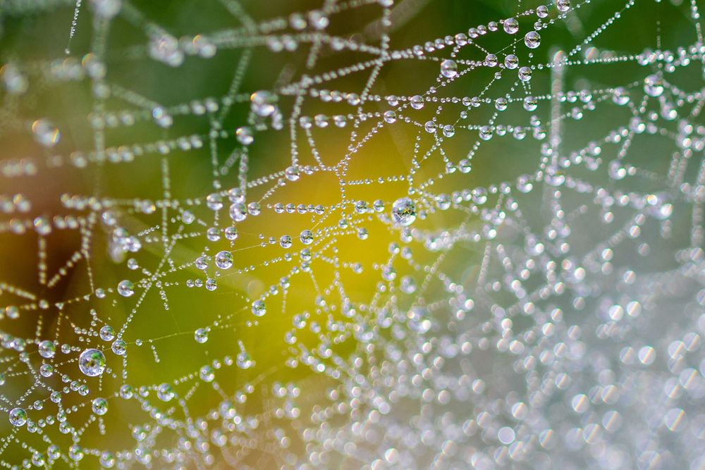 Delicate dewdrops glistening on a spider web against a colorful bokeh background.