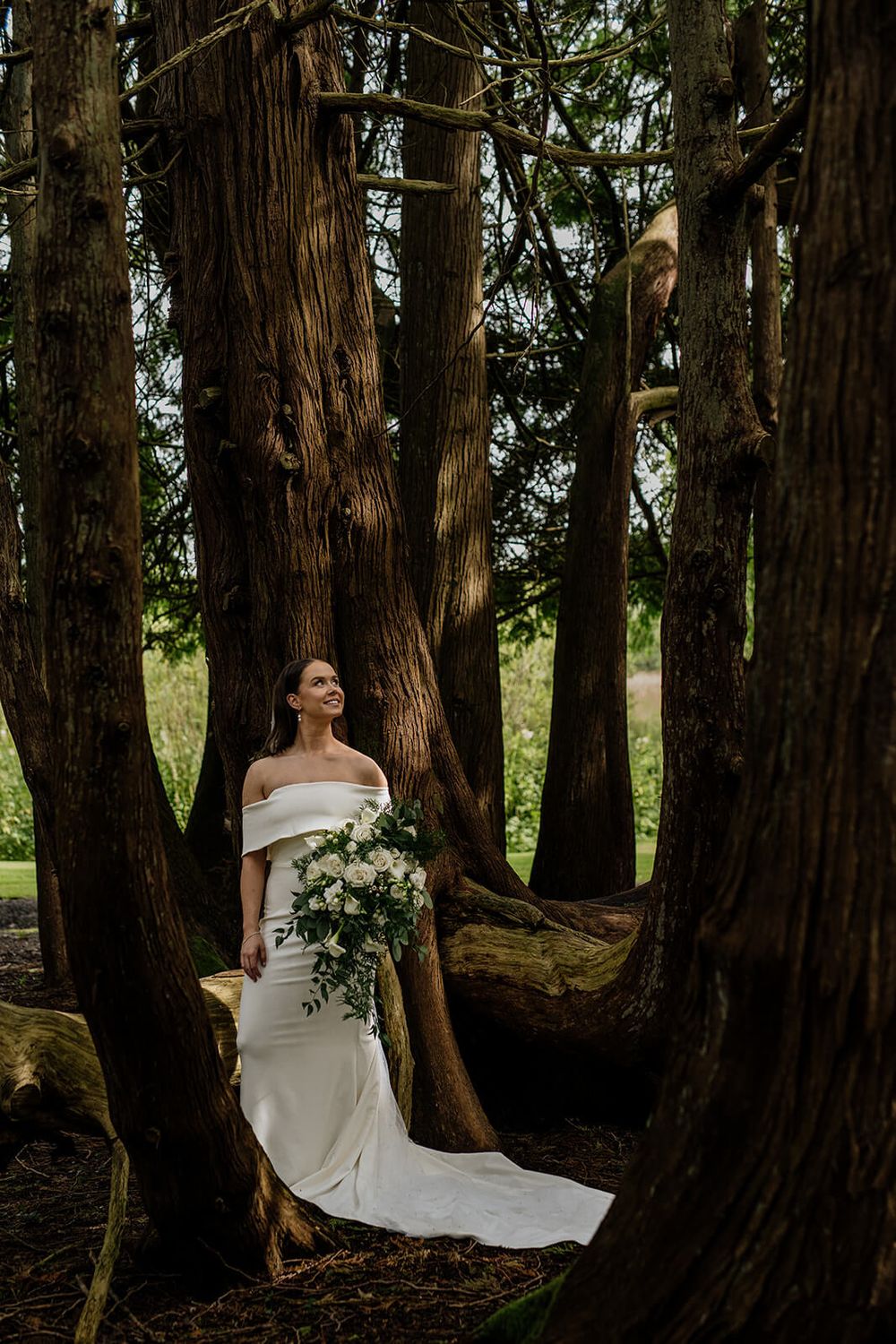 An elegant bride in a white off-shoulder dress poses between majestic tree trunks while holding a cascading bouquet at a Markree Castle.