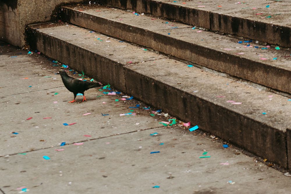 A pigeon walks on concrete steps scattered with colorful confetti in an urban setting.
