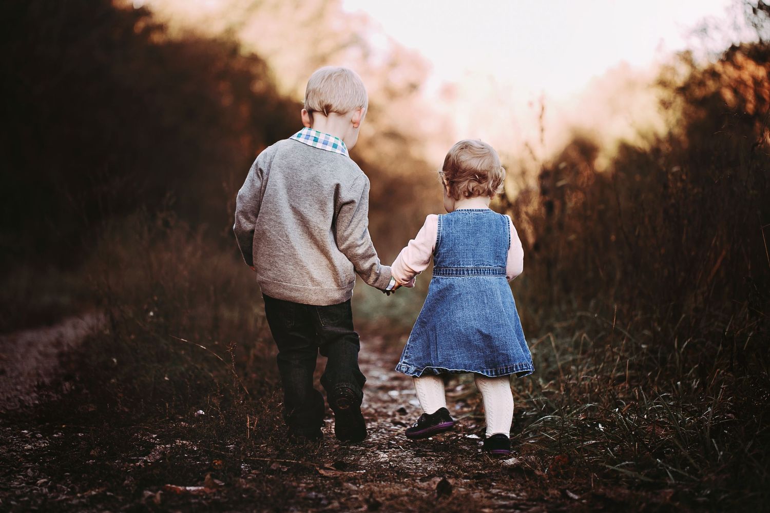 Children holding hands in sunset field – family photography Springfield Missouri.