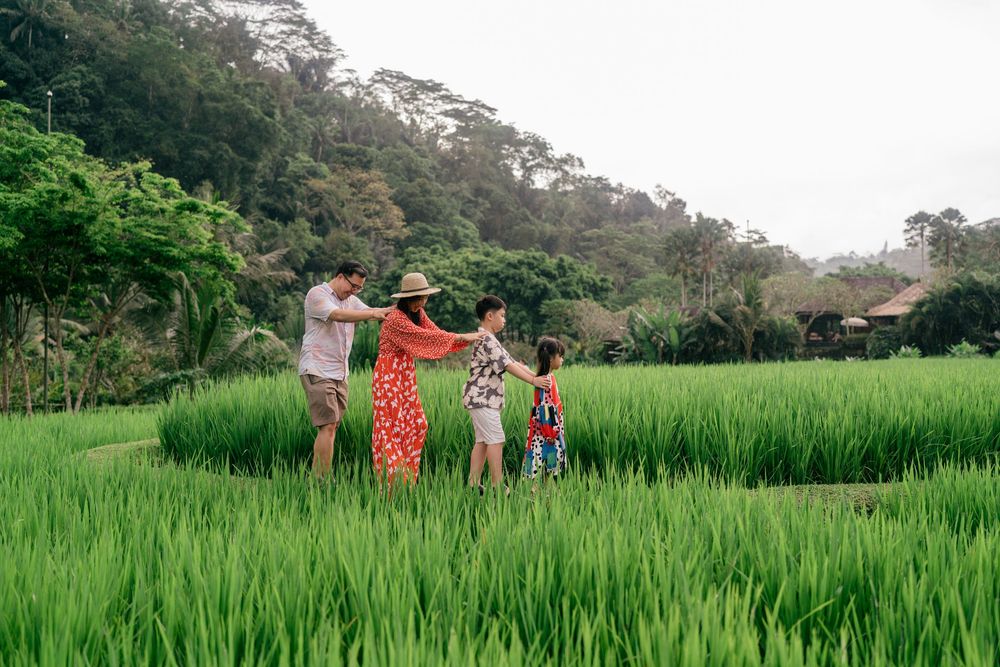 Playful moments captured in vibrant green rice fields surrounded by tropical landscape.