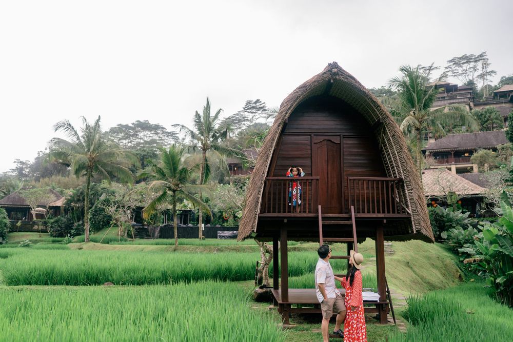 Traditional wooden bale huts overlooking verdant rice paddies and palm trees in rural Bali setting.
