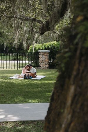 A romantic picnic setup under moss-draped trees with iron fencing in the background.