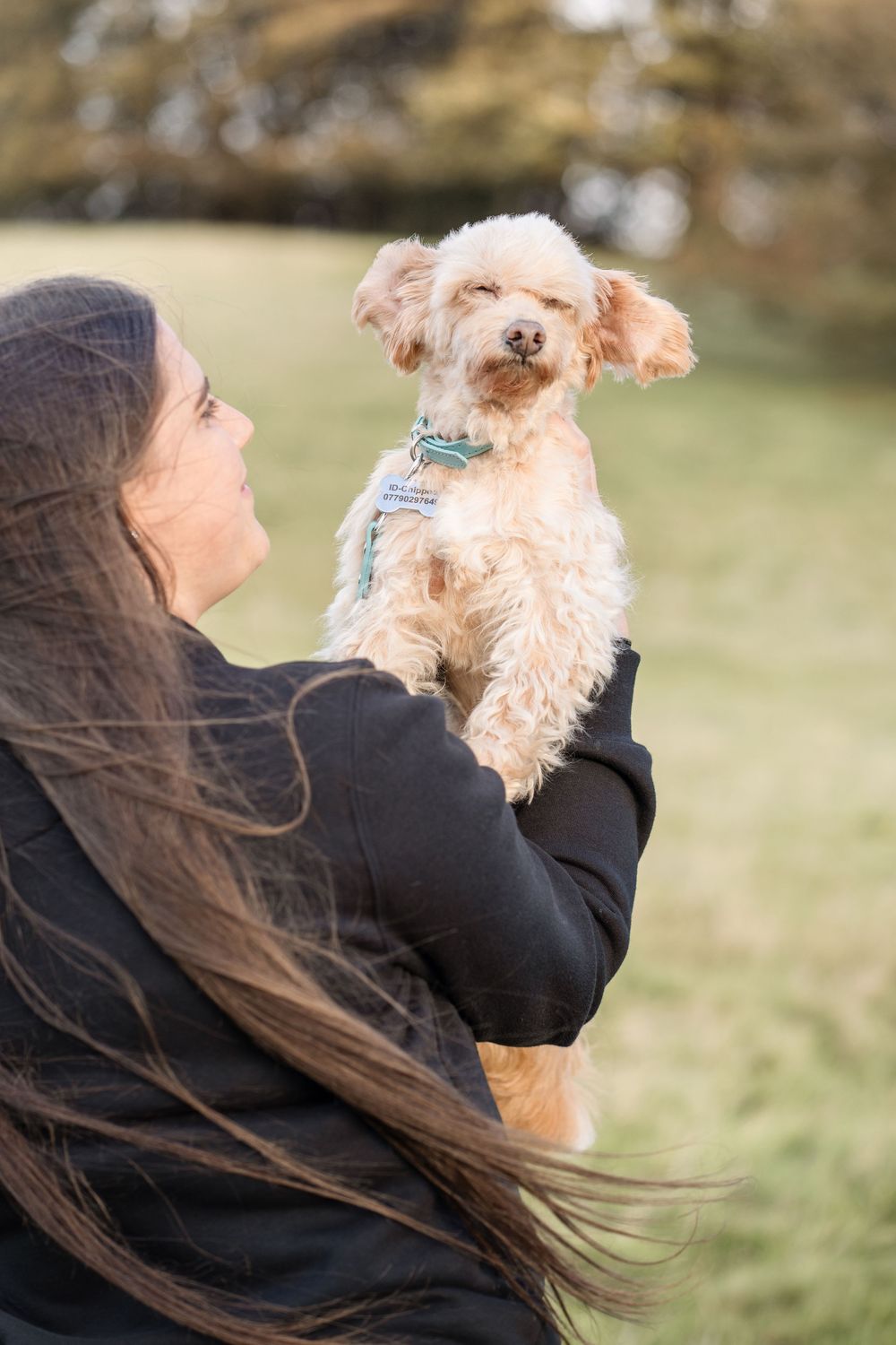 A sequence of photos showing a small fluffy dog being held and cuddled while long hair blows in the wind.