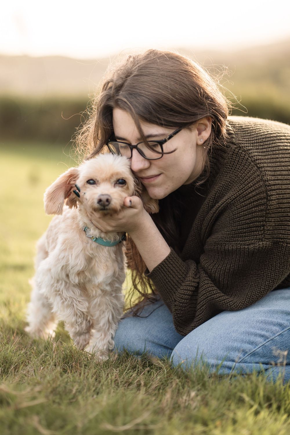 A small white curly-haired dog with a blue collar receives affection while sitting in grass during golden hour.