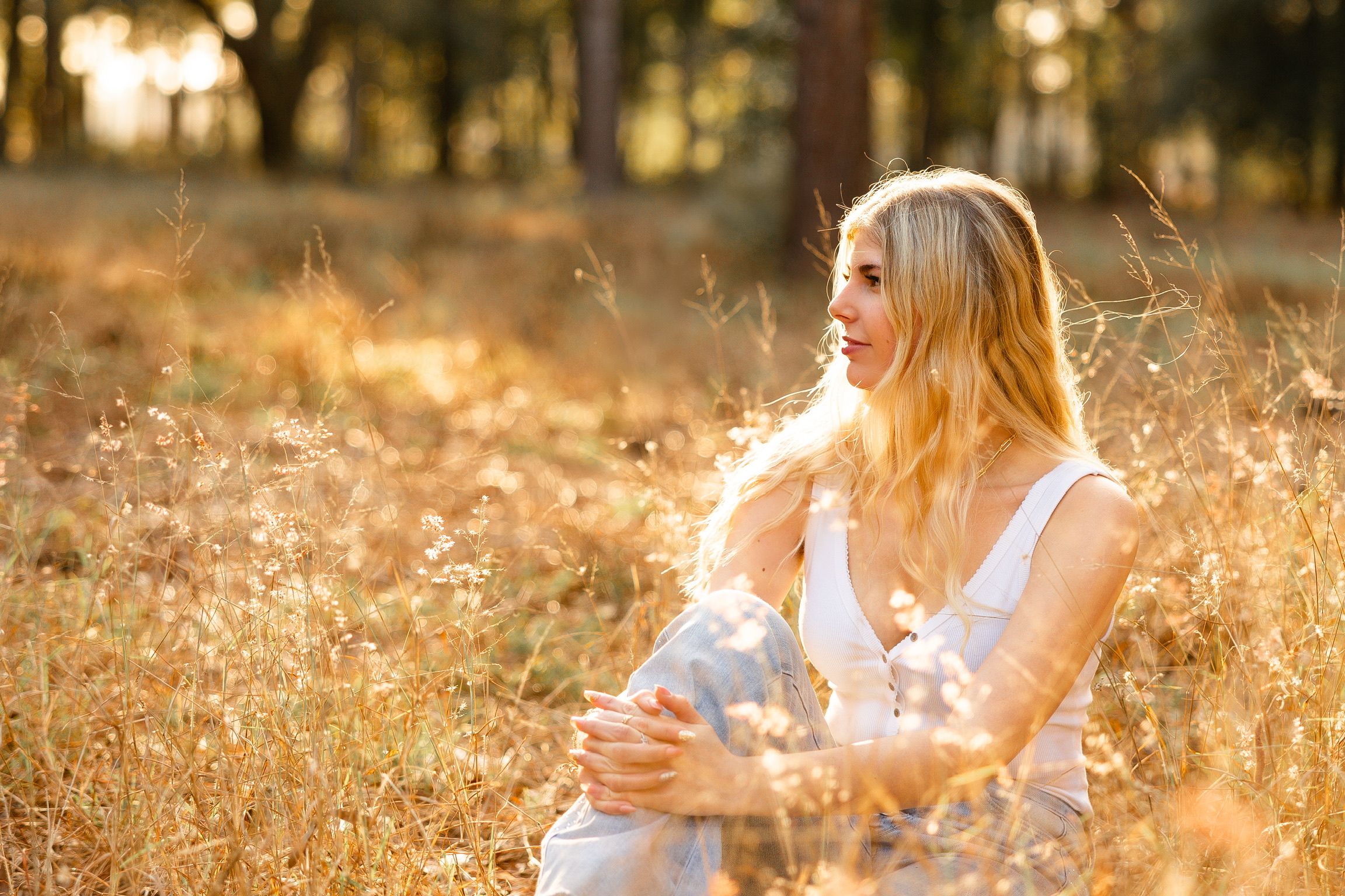 A family plays together in a sunlit meadow with golden grass and trees during sunset.