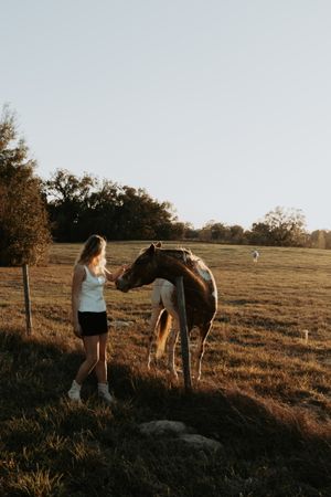 Horse grazing in a rustic pasture at sunset with wooden fence posts and golden light.
