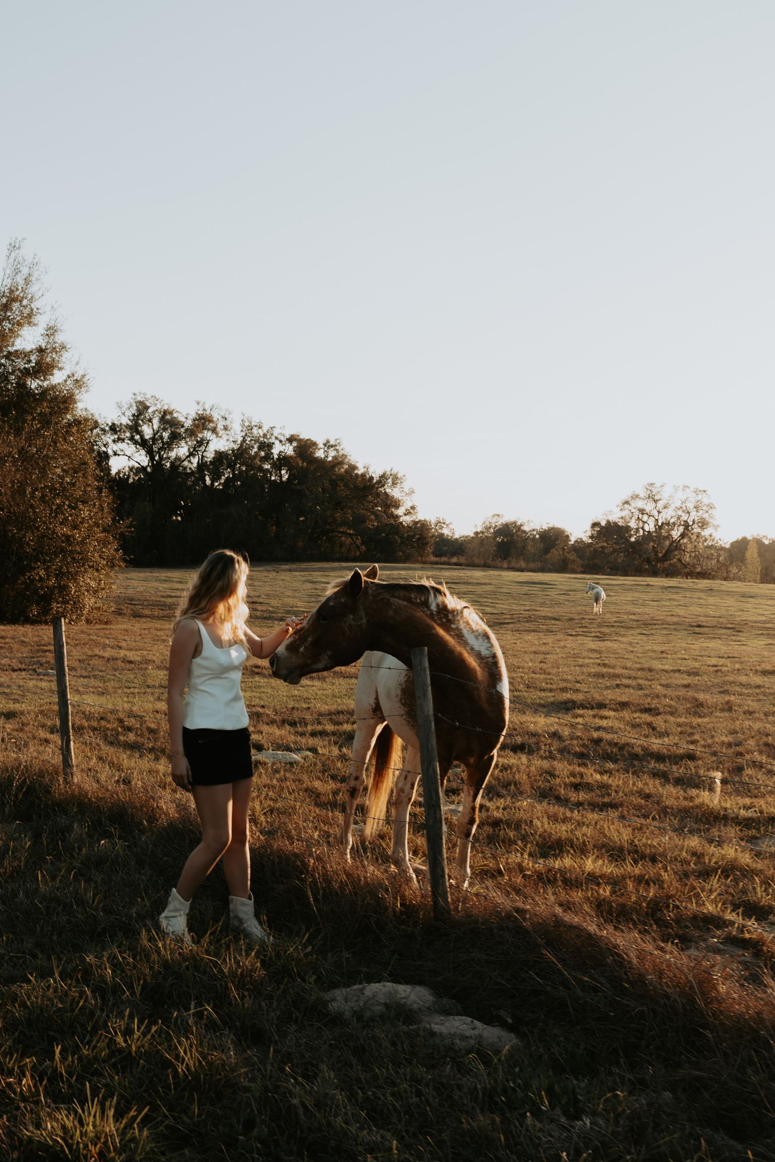Horse grazing in a rustic pasture at sunset with wooden fence posts and golden light.