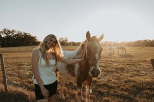 A collection of sunset photos featuring someone interacting with donkeys in a golden-lit meadow.