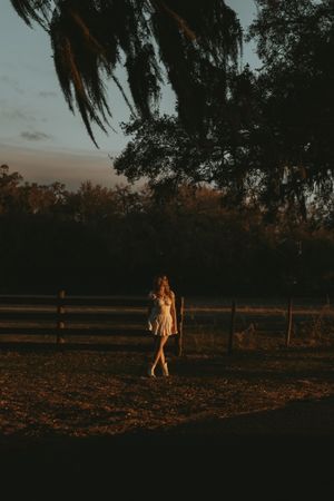 Silhouettes walking through a rustic field at sunset with Spanish moss hanging from trees overhead.