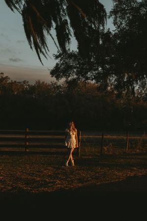 Silhouetted figures walking in a field at dusk with Spanish moss hanging from trees in the background.