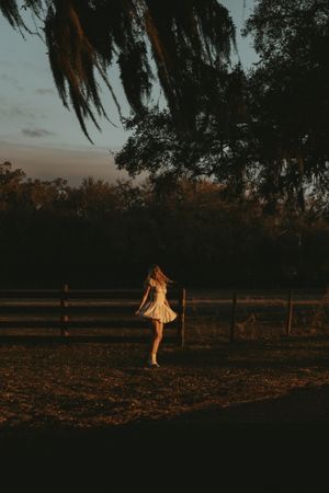 Spanish moss hangs from trees over a rustic fenced pasture at dusk.