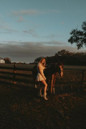A dreamy sunset scene in a pasture with a horse and wooden fence creating a rustic silhouette.