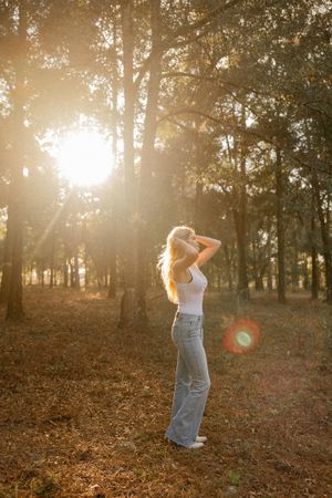 Golden sunlight streams through autumn trees creating a magical forest atmosphere.