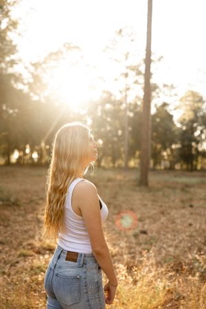 Golden sunlight illuminates a forest scene with long shadows cast among pine trees.