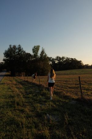 Silhouettes move across a grassy field during blue hour with trees in the background.