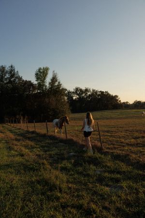 Open field with wooden fence posts at dusk showing a serene countryside setting.