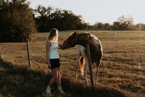 Person petting brown horse in rustic pasture during golden hour.