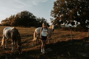 Horses graze in a golden-lit pasture with wooden fencing at sunset.