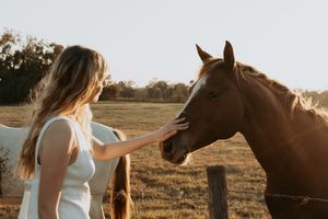 Person in white tank top gently touching brown horse's face in sunlit field.